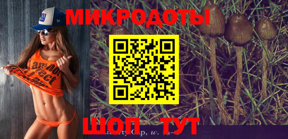 как найти   Вход с VPN  Севастополь  Псилоцибиновые грибы Psilocybine cubensis 